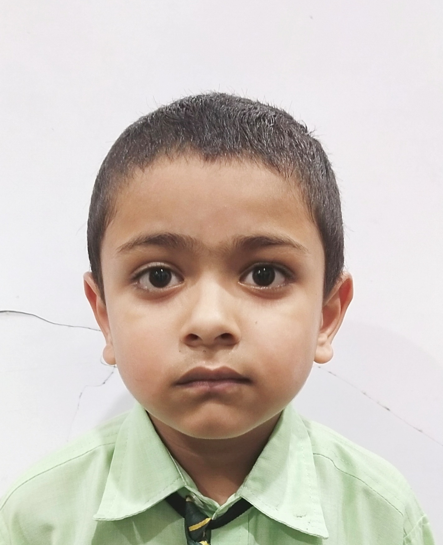BHAVY